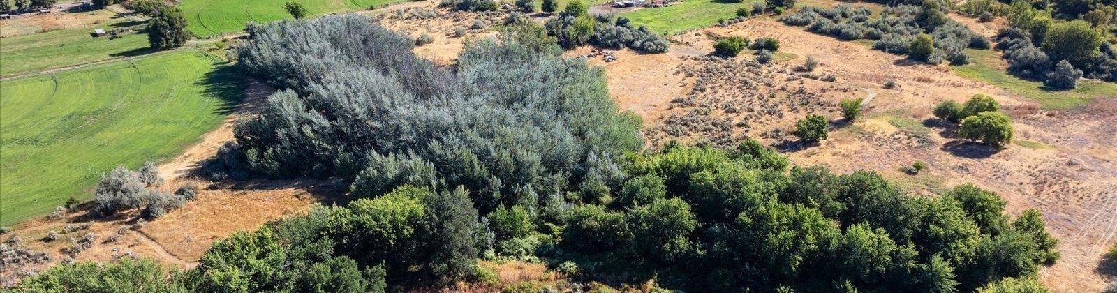 Jones Rd, Richland, Washington 99354, 0 , 0 ,0,Land/lots,For Sale,Jones Rd,0,286695