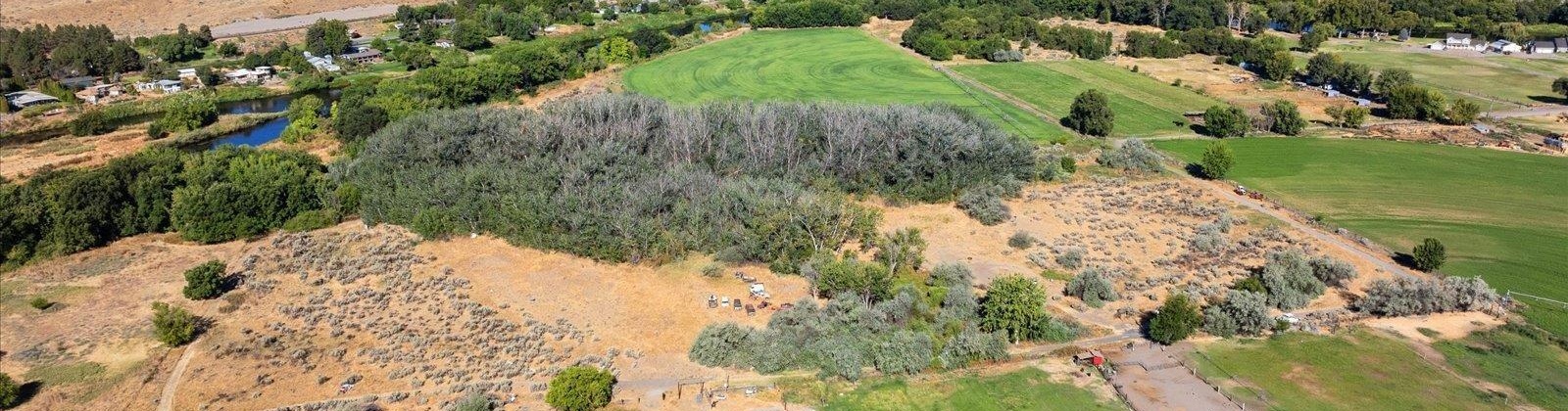 Jones Rd, Richland, Washington 99354, 0 , 0 ,0,Land/lots,For Sale,Jones Rd,0,286695