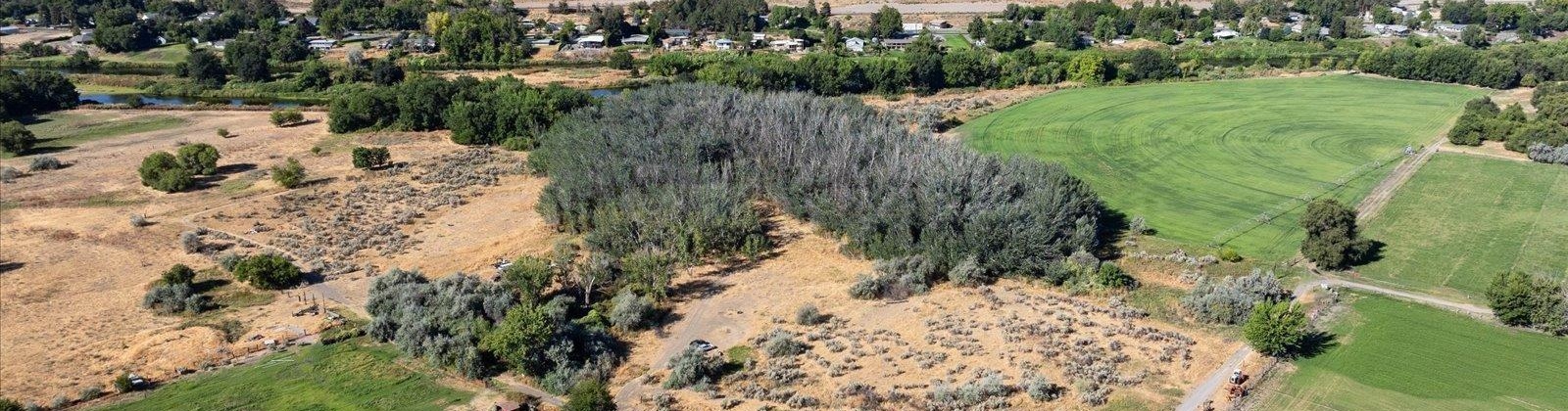Jones Rd, Richland, Washington 99354, 0 , 0 ,0,Land/lots,For Sale,Jones Rd,0,286695