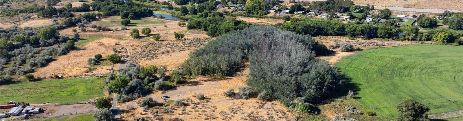 Jones Rd, Richland, Washington 99354, 0 , 0 ,0,Land/lots,For Sale,Jones Rd,0,286695