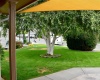 18th Ct, Kennewick, Washington 99337, 3 Bedrooms Bedrooms, 0 ,2 BathroomsBathrooms,Houses,For Sale,18th Ct,0,286709