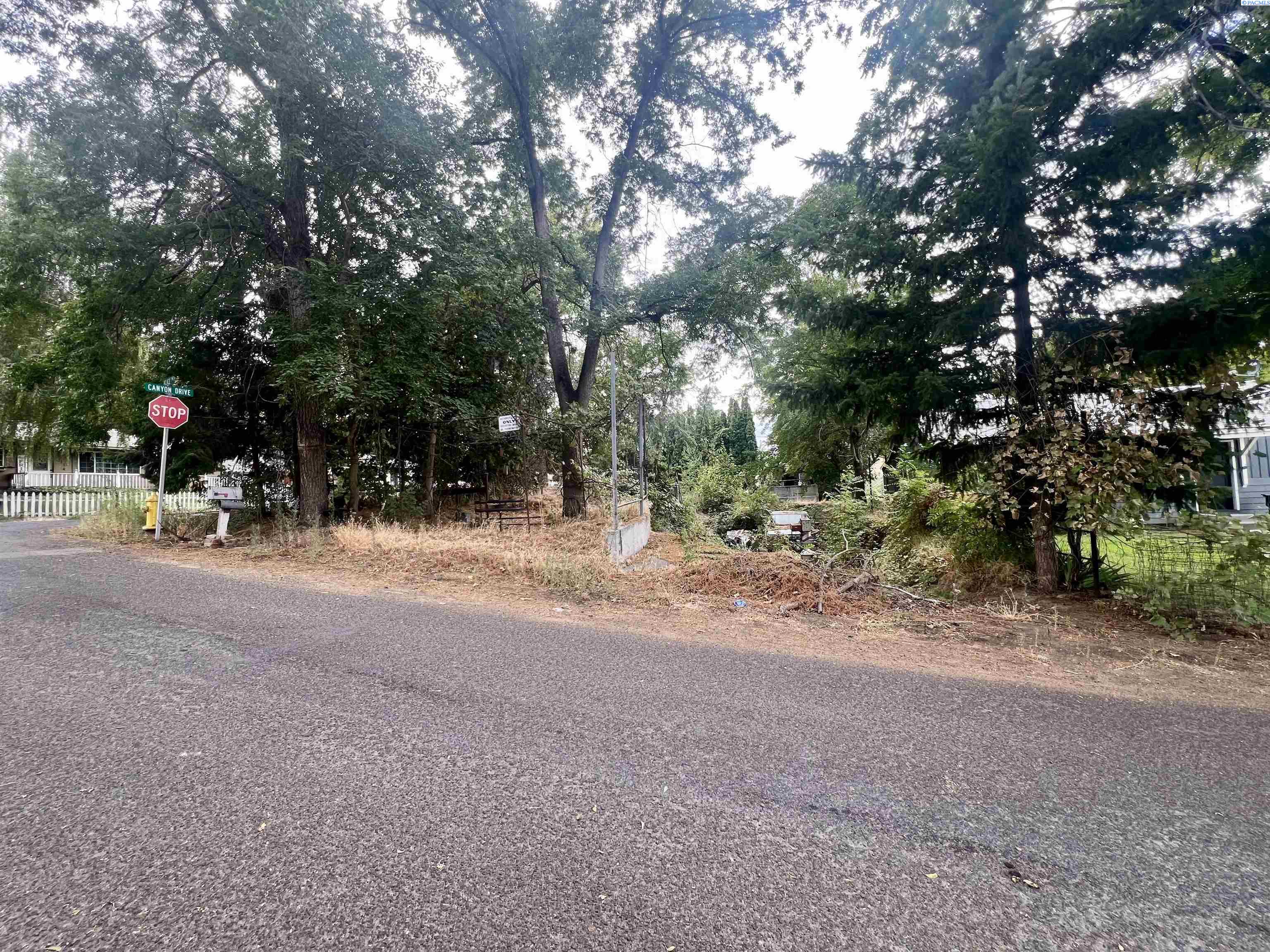 Alice ST, Prosser, Washington 99350, 0 , 0 ,0,Land/lots,For Sale,Alice ST,0,286712