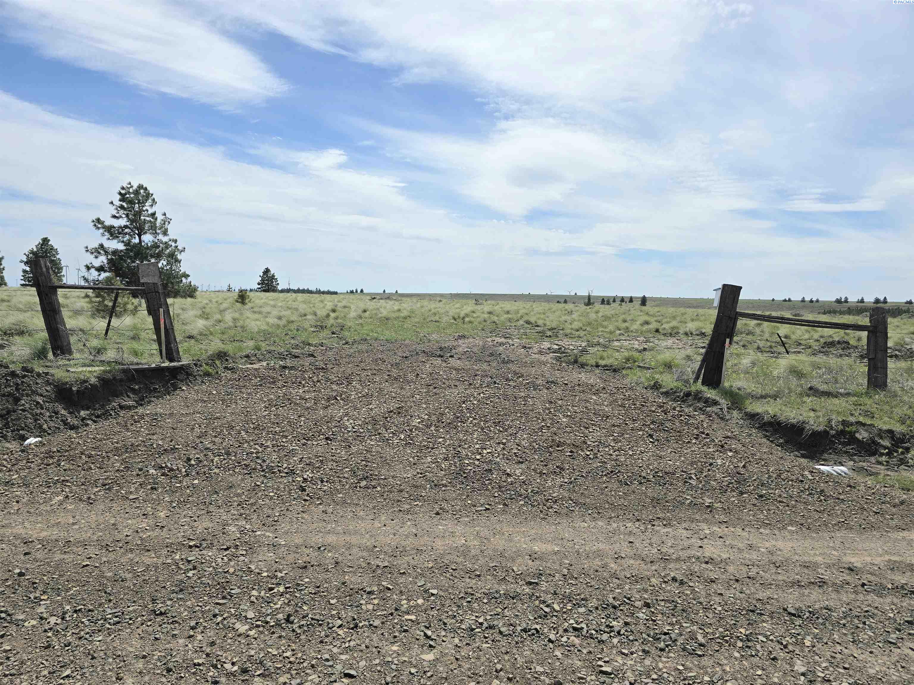Duree Rd, Bickleton, Washington 99322, 0 , 0 ,0,Agricultural Land,For Sale,Duree Rd,0,286720