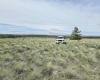 Duree Rd, Bickleton, Washington 99322, 0 , 0 ,0,Agricultural Land,For Sale,Duree Rd,0,286720