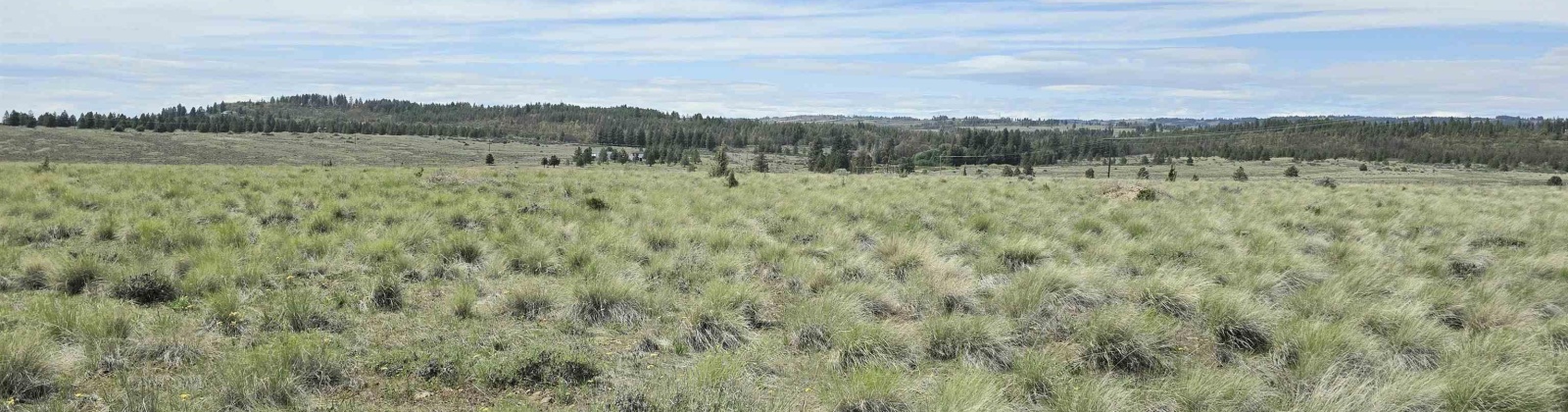 Duree Rd, Bickleton, Washington 99322, 0 , 0 ,0,Agricultural Land,For Sale,Duree Rd,0,286720