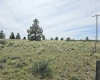 Duree Rd, Bickleton, Washington 99322, 0 , 0 ,0,Agricultural Land,For Sale,Duree Rd,0,286720