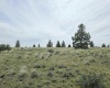 Duree Rd, Bickleton, Washington 99322, 0 , 0 ,0,Agricultural Land,For Sale,Duree Rd,0,286720