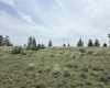 Duree Rd, Bickleton, Washington 99322, 0 , 0 ,0,Agricultural Land,For Sale,Duree Rd,0,286720