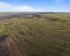 Duree Rd, Bickleton, Washington 99322, 0 , 0 ,0,Agricultural Land,For Sale,Duree Rd,0,286720