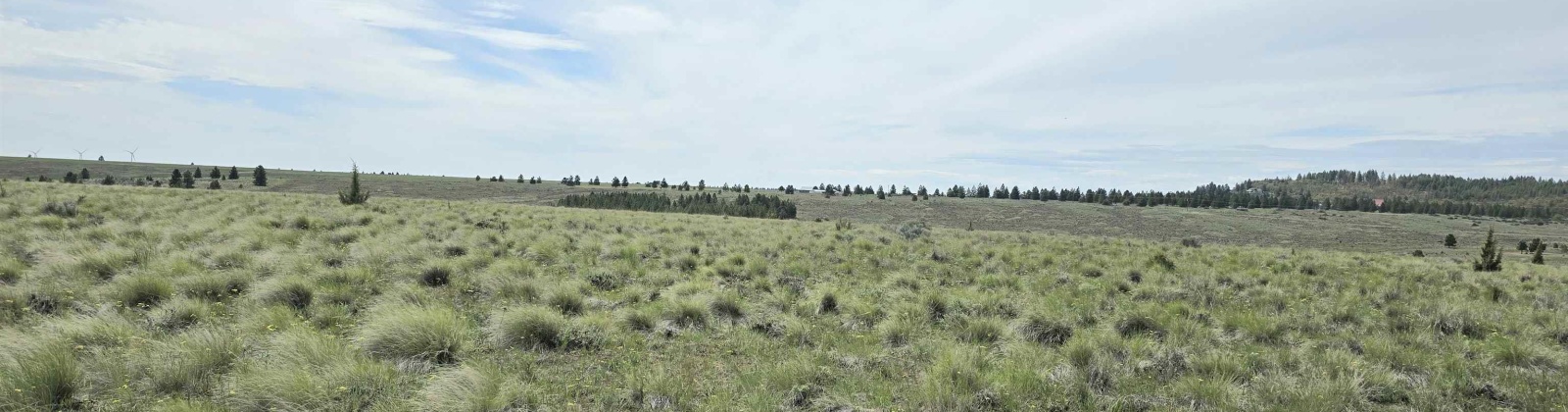 Duree Rd, Bickleton, Washington 99322, 0 , 0 ,0,Agricultural Land,For Sale,Duree Rd,0,286720