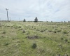 Middle Rd, Bickleton, Washington 99322, 0 , 0 ,0,Agricultural Land,For Sale,Middle Rd,0,286759