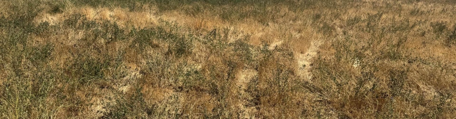 Moore Rd, Prosser, Washington 99350, 0 , 0 ,0,Land/lots,For Sale,Moore Rd,0,286755