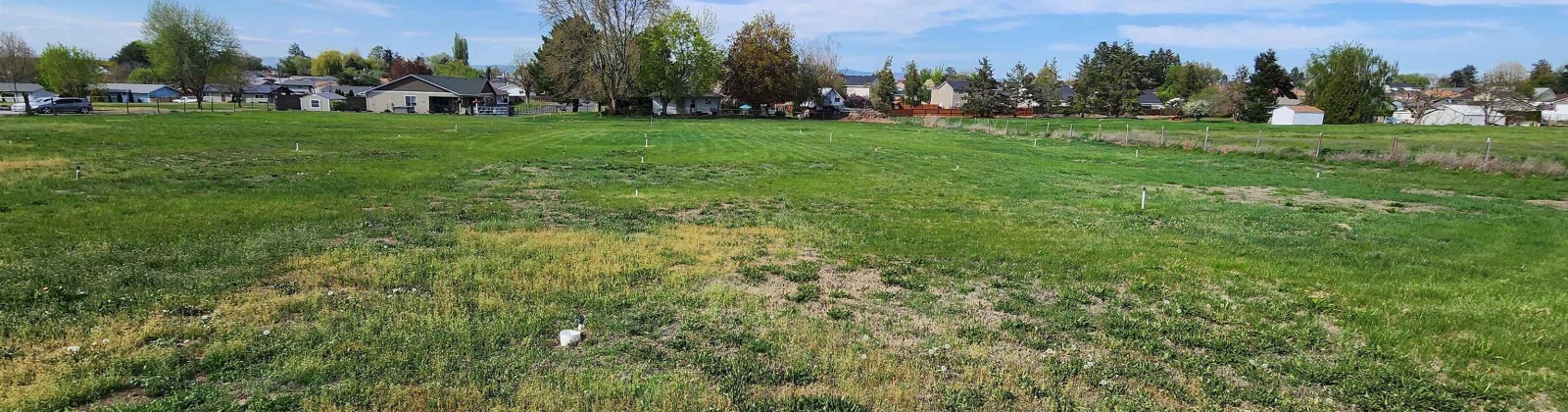 King St Lot A, Grandview, Washington 98930, 0 , 0 ,0,Land/lots,For Sale,King St Lot A,0,286769