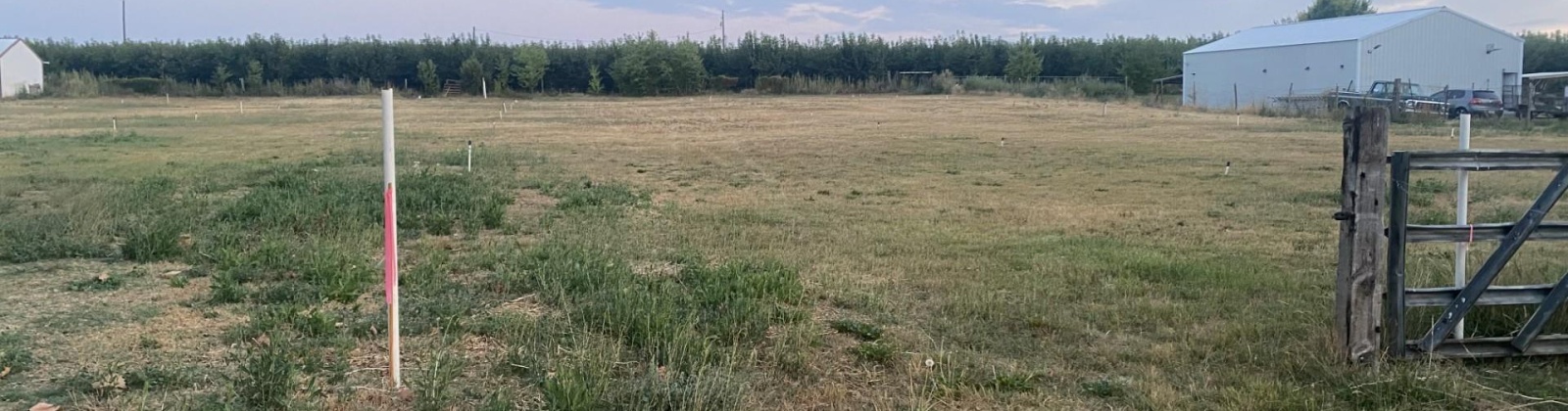 King St Lot A, Grandview, Washington 98930, 0 , 0 ,0,Land/lots,For Sale,King St Lot A,0,286769