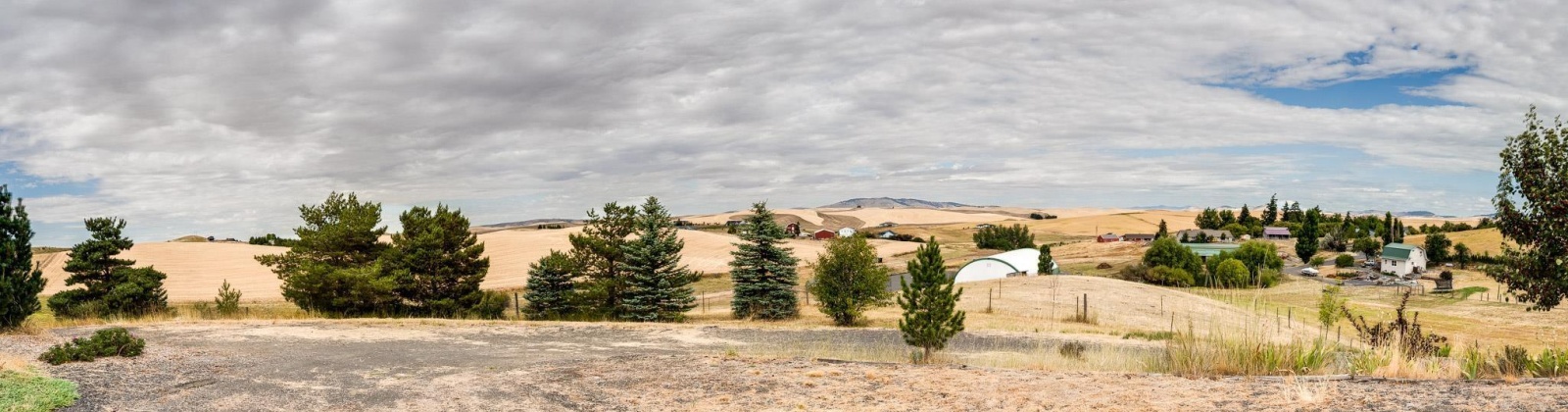 Carriage Hill Ct, Pullman, Washington 99163, 5 Bedrooms Bedrooms, 0 ,4 BathroomsBathrooms,Houses,For Sale,Carriage Hill Ct,0,286764