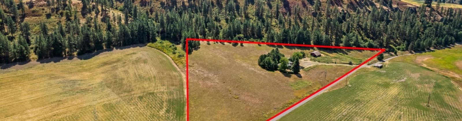 Palouse Rd, Colfax, Washington 99111, 4 Bedrooms Bedrooms, 0 ,3 BathroomsBathrooms,Houses,For Sale,Palouse Rd,0,286765