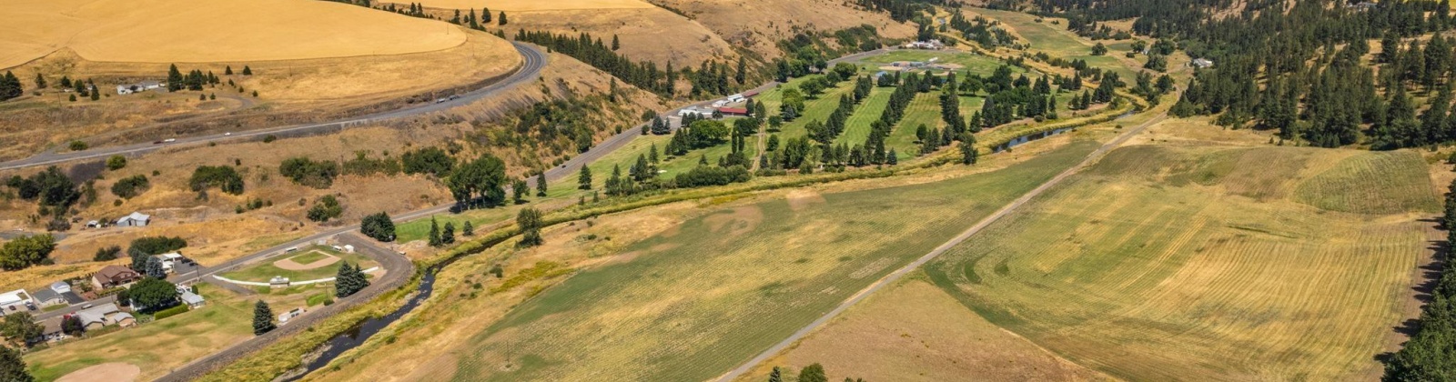 Palouse Rd, Colfax, Washington 99111, 4 Bedrooms Bedrooms, 0 ,3 BathroomsBathrooms,Houses,For Sale,Palouse Rd,0,286765