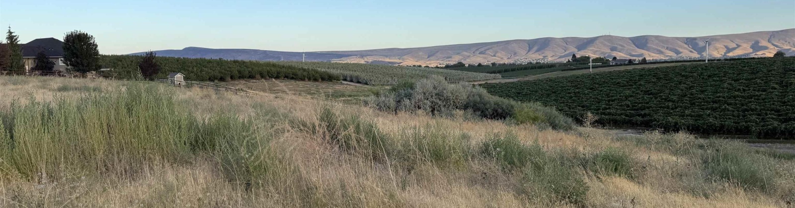 McCreadie RD, Prosser, Washington 99350, 0 , 0 ,0,Land/lots,For Sale,McCreadie RD,0,286787