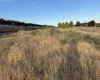 McCreadie RD, Prosser, Washington 99350, 0 , 0 ,0,Land/lots,For Sale,McCreadie RD,0,286787
