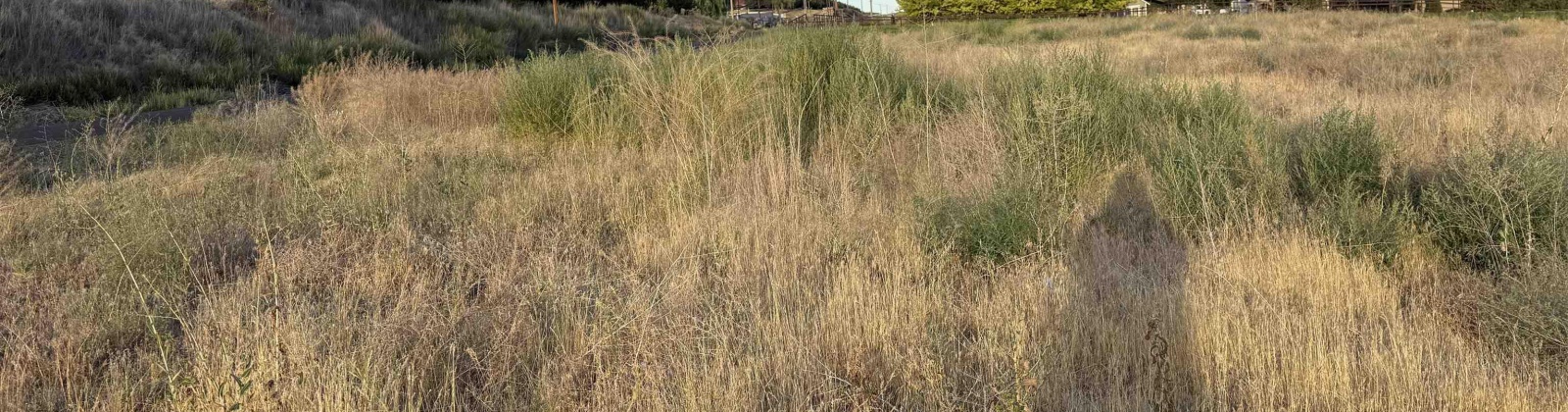 McCreadie RD, Prosser, Washington 99350, 0 , 0 ,0,Land/lots,For Sale,McCreadie RD,0,286787