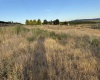 McCreadie RD, Prosser, Washington 99350, 0 , 0 ,0,Land/lots,For Sale,McCreadie RD,0,286787