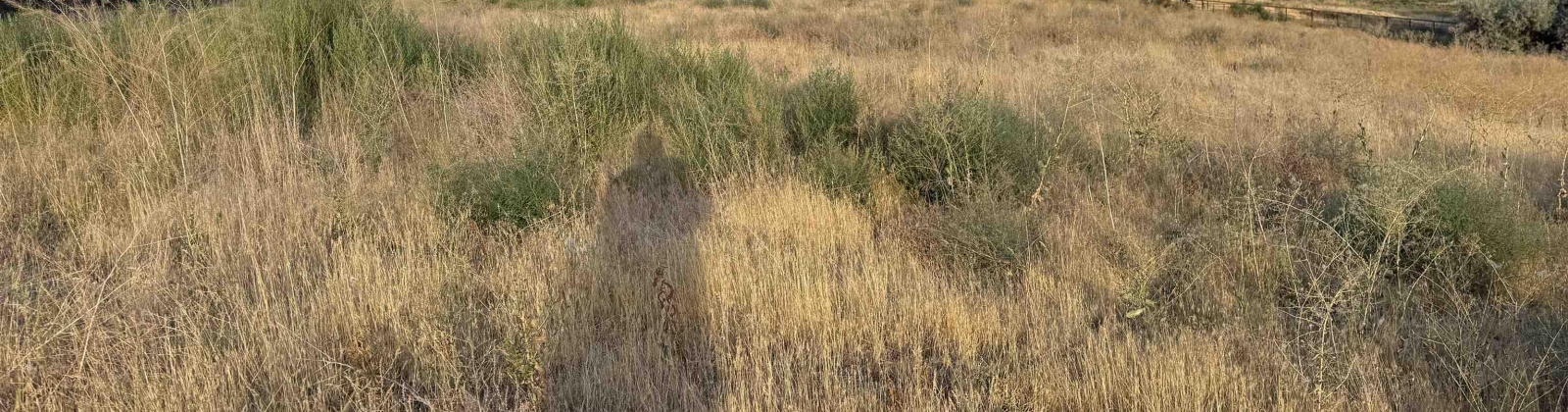 McCreadie RD, Prosser, Washington 99350, 0 , 0 ,0,Land/lots,For Sale,McCreadie RD,0,286787