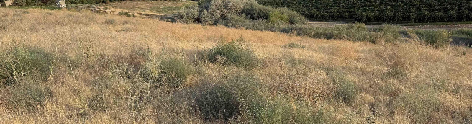 McCreadie RD, Prosser, Washington 99350, 0 , 0 ,0,Land/lots,For Sale,McCreadie RD,0,286787