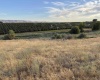 McCreadie RD, Prosser, Washington 99350, 0 , 0 ,0,Land/lots,For Sale,McCreadie RD,0,286787