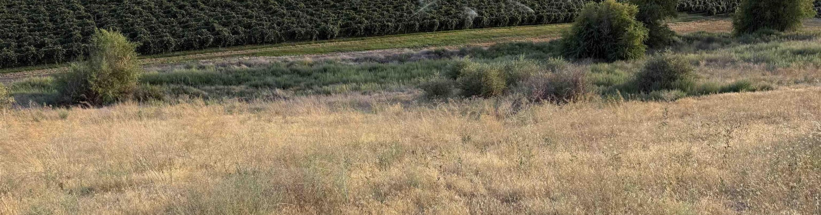 McCreadie RD, Prosser, Washington 99350, 0 , 0 ,0,Land/lots,For Sale,McCreadie RD,0,286787