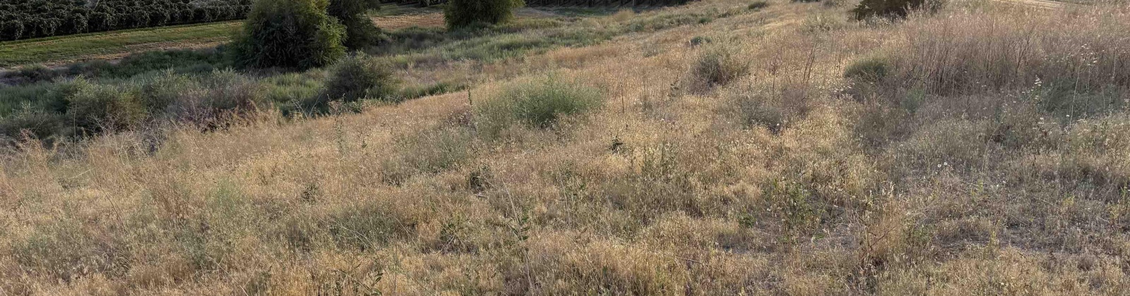 McCreadie RD, Prosser, Washington 99350, 0 , 0 ,0,Land/lots,For Sale,McCreadie RD,0,286787