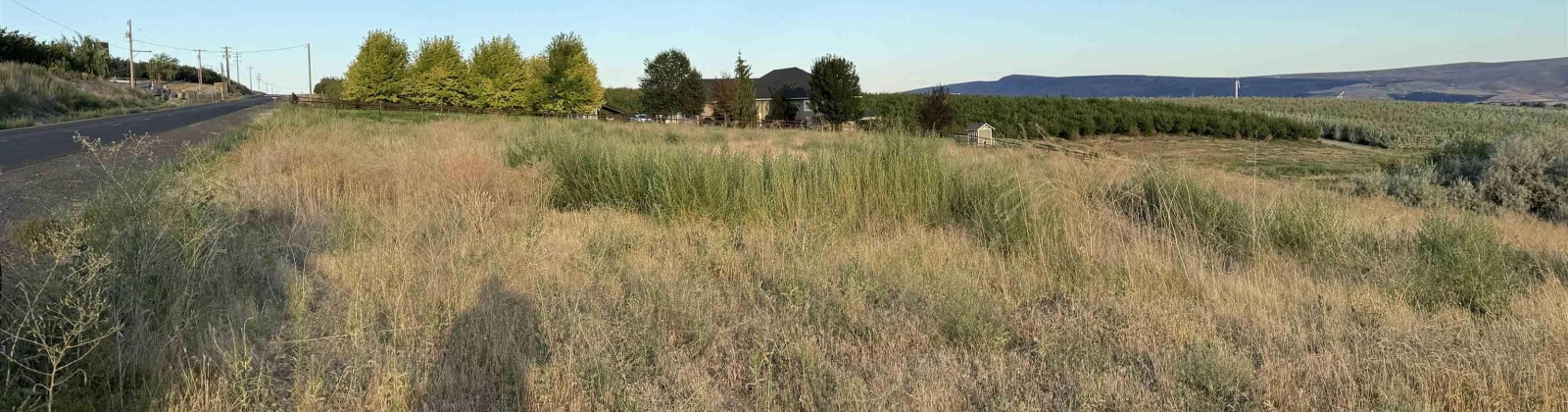 McCreadie RD, Prosser, Washington 99350, 0 , 0 ,0,Land/lots,For Sale,McCreadie RD,0,286787