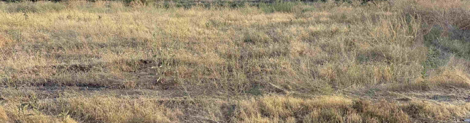 McCreadie RD, Prosser, Washington 99350, 0 , 0 ,0,Land/lots,For Sale,McCreadie RD,0,286787