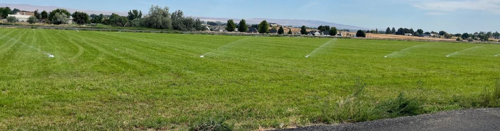 Richards Rd, Prosser, Washington 99350, 0 , 0 ,0,Land/lots,For Sale,Richards Rd,0,286780