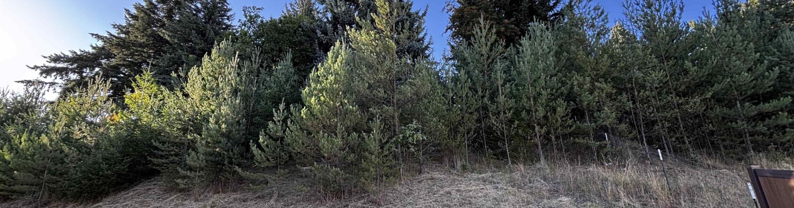 Finch, Pullman, Washington 99163, 4 Bedrooms Bedrooms, 0 ,3 BathroomsBathrooms,Houses,For Sale,Finch,0,286838