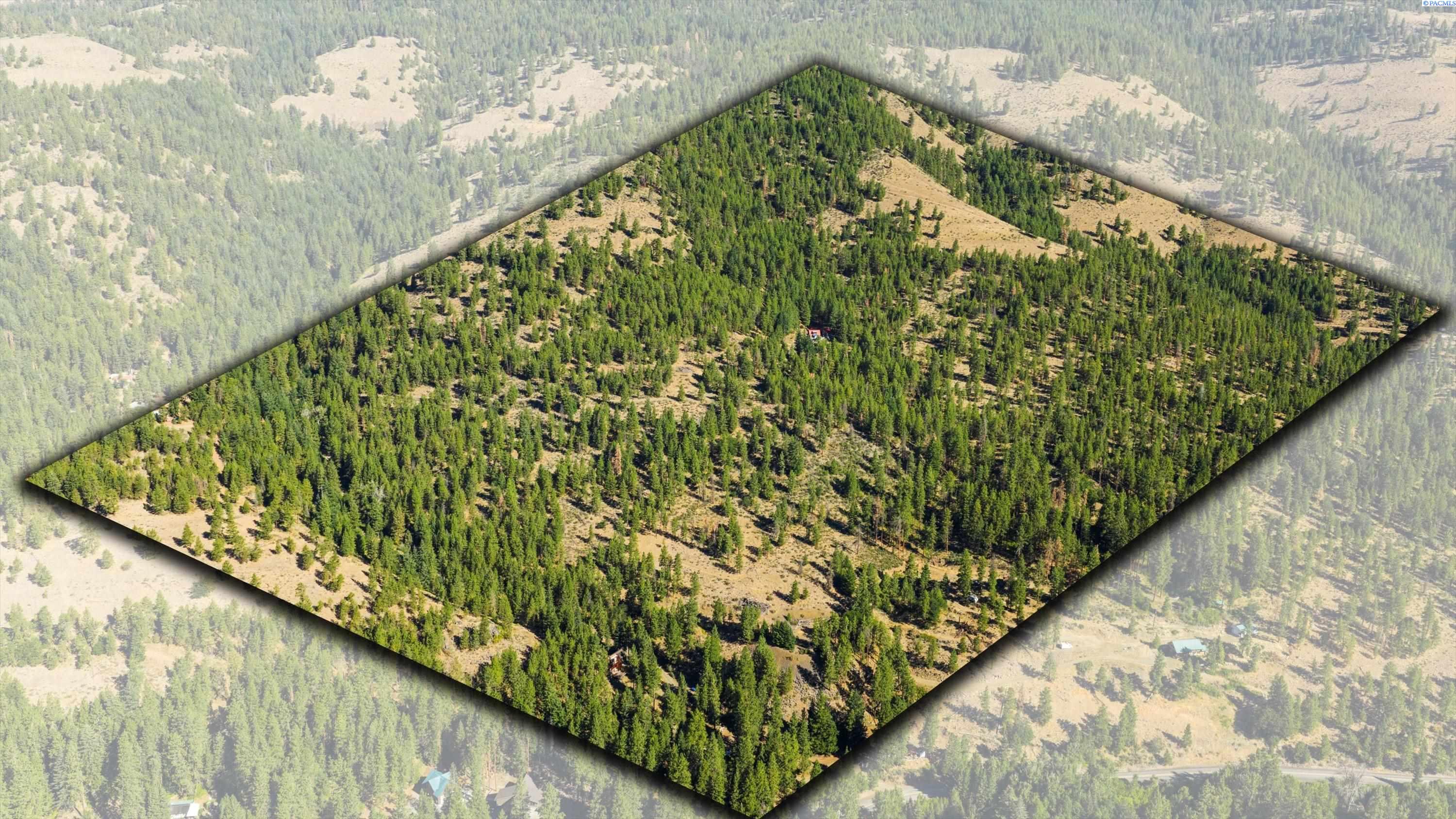 North Fork Road, Yakima, Washington, 0 , 0 ,0,Land/lots,For Sale,North Fork Road,0,286895
