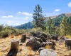 North Fork Road, Yakima, Washington, 0 , 0 ,0,Land/lots,For Sale,North Fork Road,0,286895