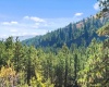 North Fork Road, Yakima, Washington, 0 , 0 ,0,Land/lots,For Sale,North Fork Road,0,286895