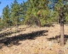 North Fork Road, Yakima, Washington, 0 , 0 ,0,Land/lots,For Sale,North Fork Road,0,286895