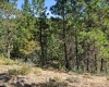 North Fork Road, Yakima, Washington, 0 , 0 ,0,Land/lots,For Sale,North Fork Road,0,286895