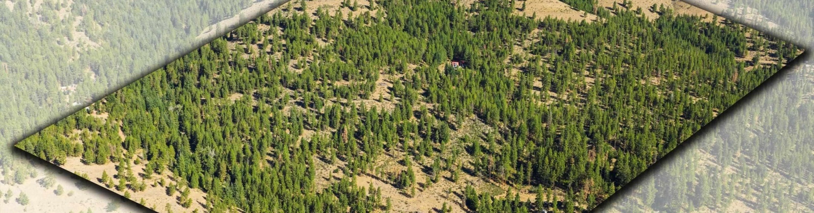 North Fork Road, Yakima, Washington, 0 , 0 ,0,Land/lots,For Sale,North Fork Road,0,286895