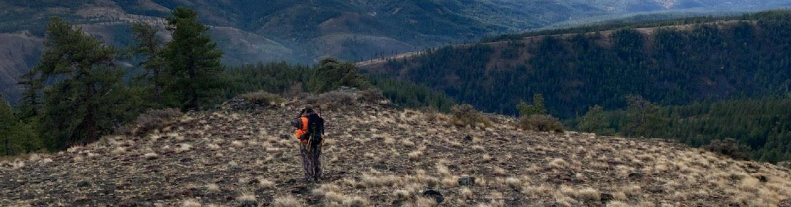 North Fork Road, Yakima, Washington, 0 , 0 ,0,Land/lots,For Sale,North Fork Road,0,286895