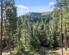 North Fork Road, Yakima, Washington, 0 , 0 ,0,Land/lots,For Sale,North Fork Road,0,286895