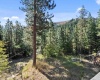 North Fork Road, Yakima, Washington, 0 , 0 ,0,Land/lots,For Sale,North Fork Road,0,286895