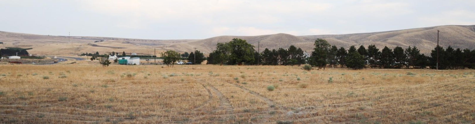 Frontier Road, Prosser, Washington 99350, 0 , 0 ,0,Commercial,For Sale,Frontier Road,0,286898