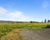 Reservoir Lane, Pomeroy, Washington 99347, 0 , 0 ,0,Land/lots,For Sale,Reservoir Lane,0,286909