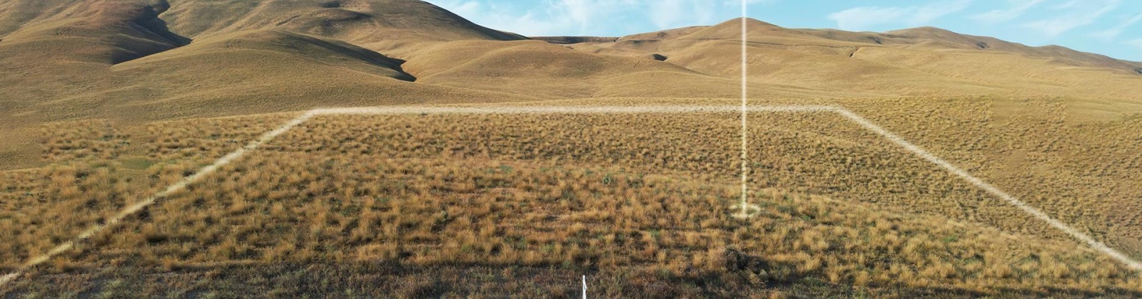 Ward Gap Rd (Lot 7), Prosser, Washington 99350, 0 , 0 ,0,Land/lots,For Sale,Ward Gap Rd (Lot 7),0,286967