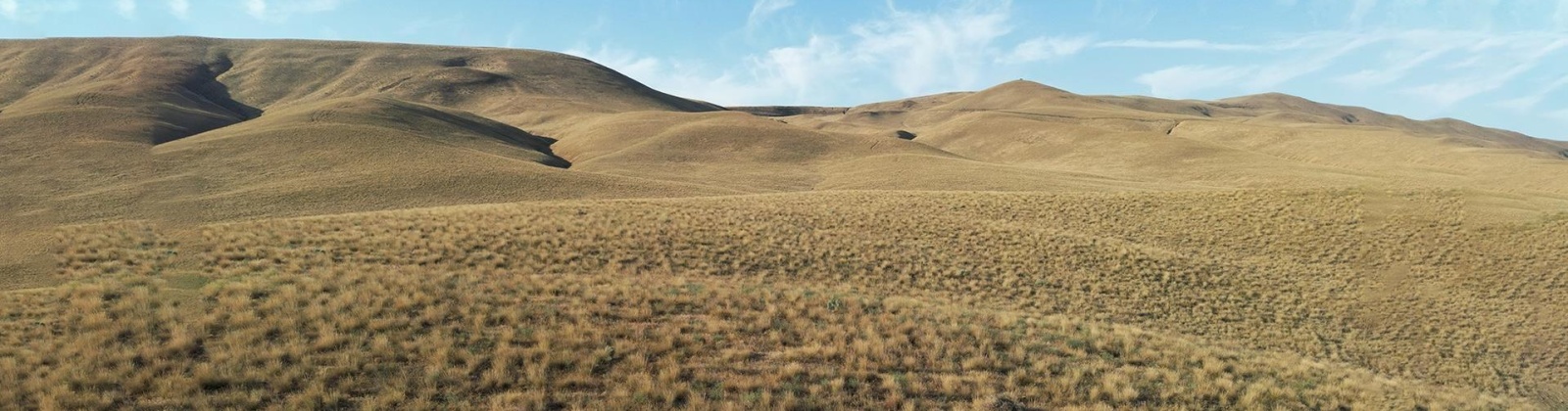 Ward Gap Rd (Lot 7), Prosser, Washington 99350, 0 , 0 ,0,Land/lots,For Sale,Ward Gap Rd (Lot 7),0,286967