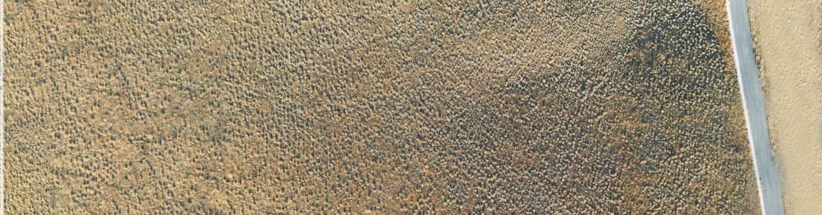 Ward Gap Rd (Lot 7), Prosser, Washington 99350, 0 , 0 ,0,Land/lots,For Sale,Ward Gap Rd (Lot 7),0,286967