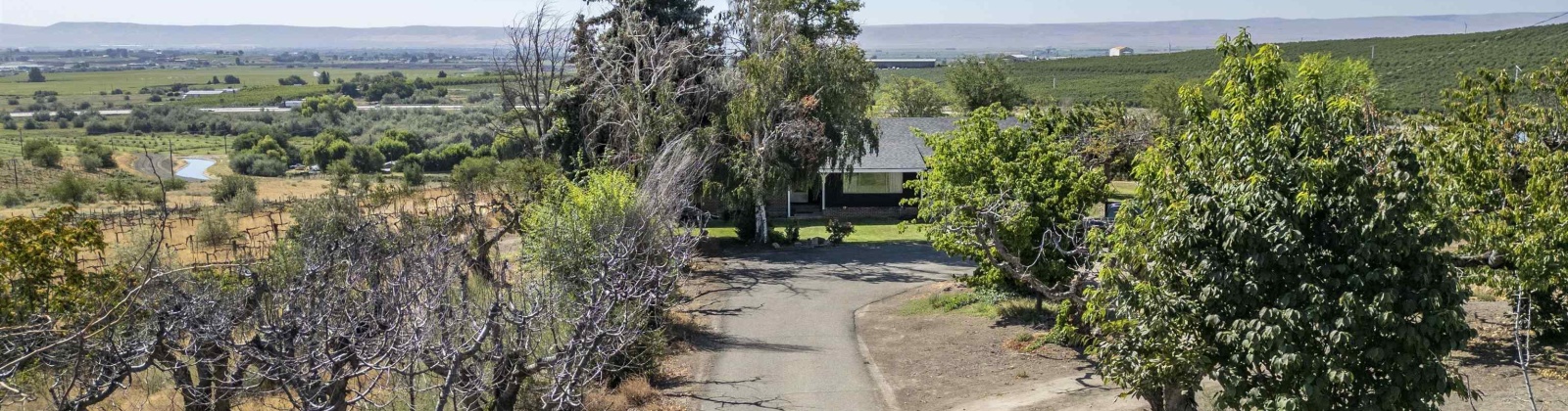 Riverside Ave, Sunnyside, Washington 98944, 4 Bedrooms Bedrooms, 0 ,3 BathroomsBathrooms,Houses,For Sale,Riverside Ave,0,286973