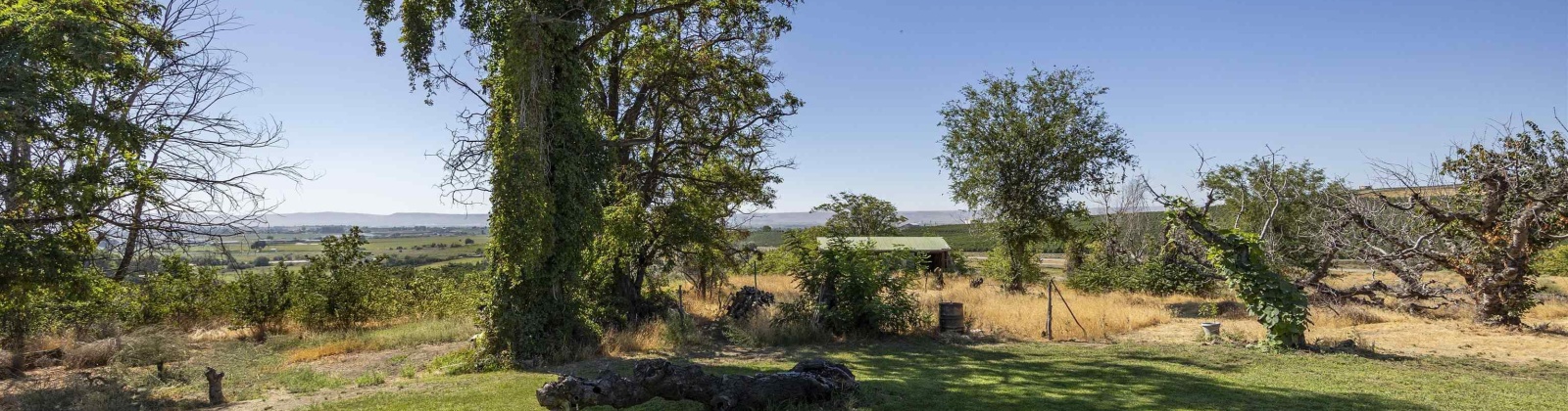 Riverside Ave, Sunnyside, Washington 98944, 4 Bedrooms Bedrooms, 0 ,3 BathroomsBathrooms,Houses,For Sale,Riverside Ave,0,286973